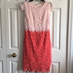 Color Block Lace Spring Dress